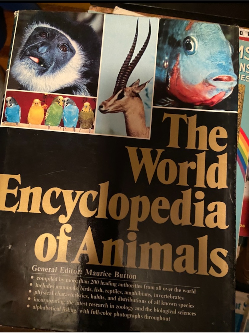 Vintage 70s 1970s Animal book World Encyclopedia Animals wildlife nature mammals